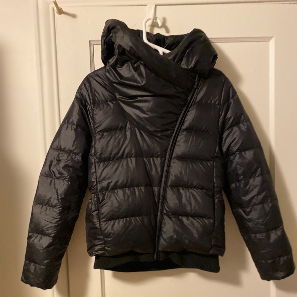 Hooded Puffer
